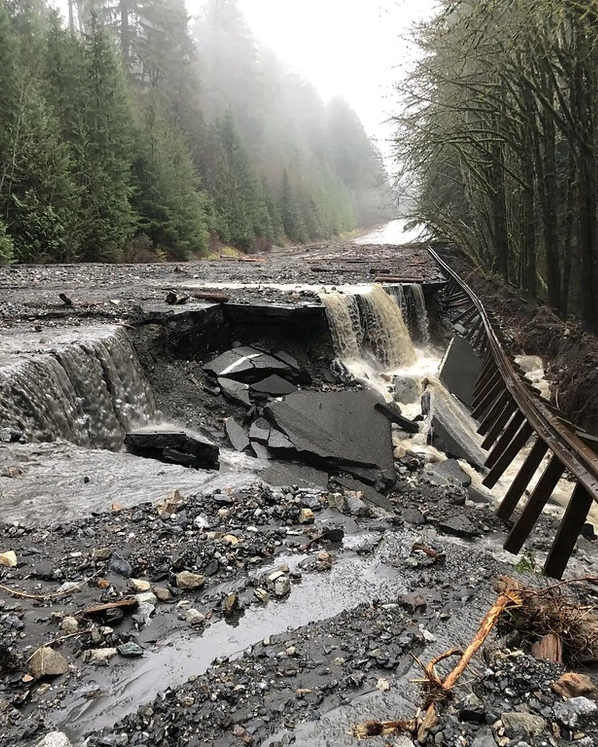 SWELL PENDANT RAFFLE | Benefitting Washington Flood Relief