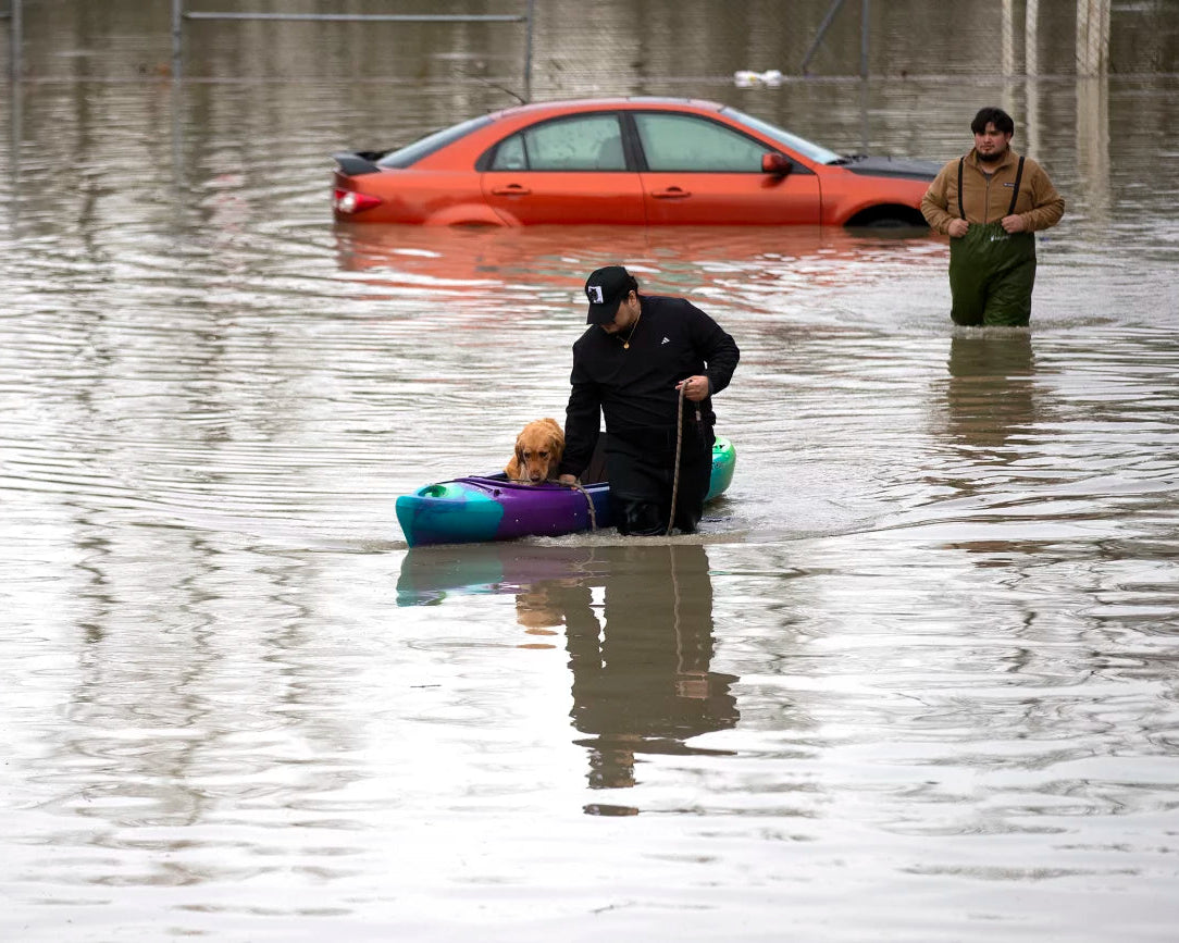 SWELL PENDANT RAFFLE | Benefitting Washington Flood Relief